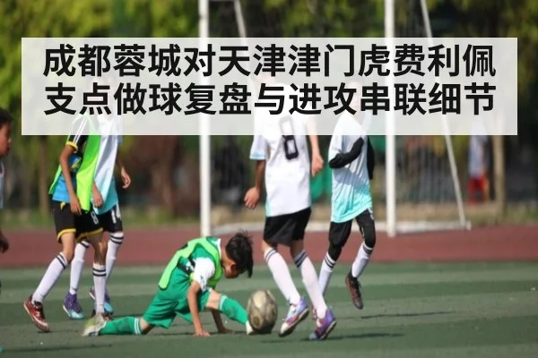 成都蓉城对天津津门虎费利佩支点做球复盘与进攻串联细节 | kaiyun
